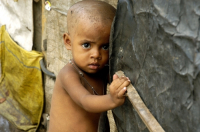 Food crisis ravages Indias poorest children.